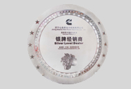 2010年康明斯中國銀牌經銷商